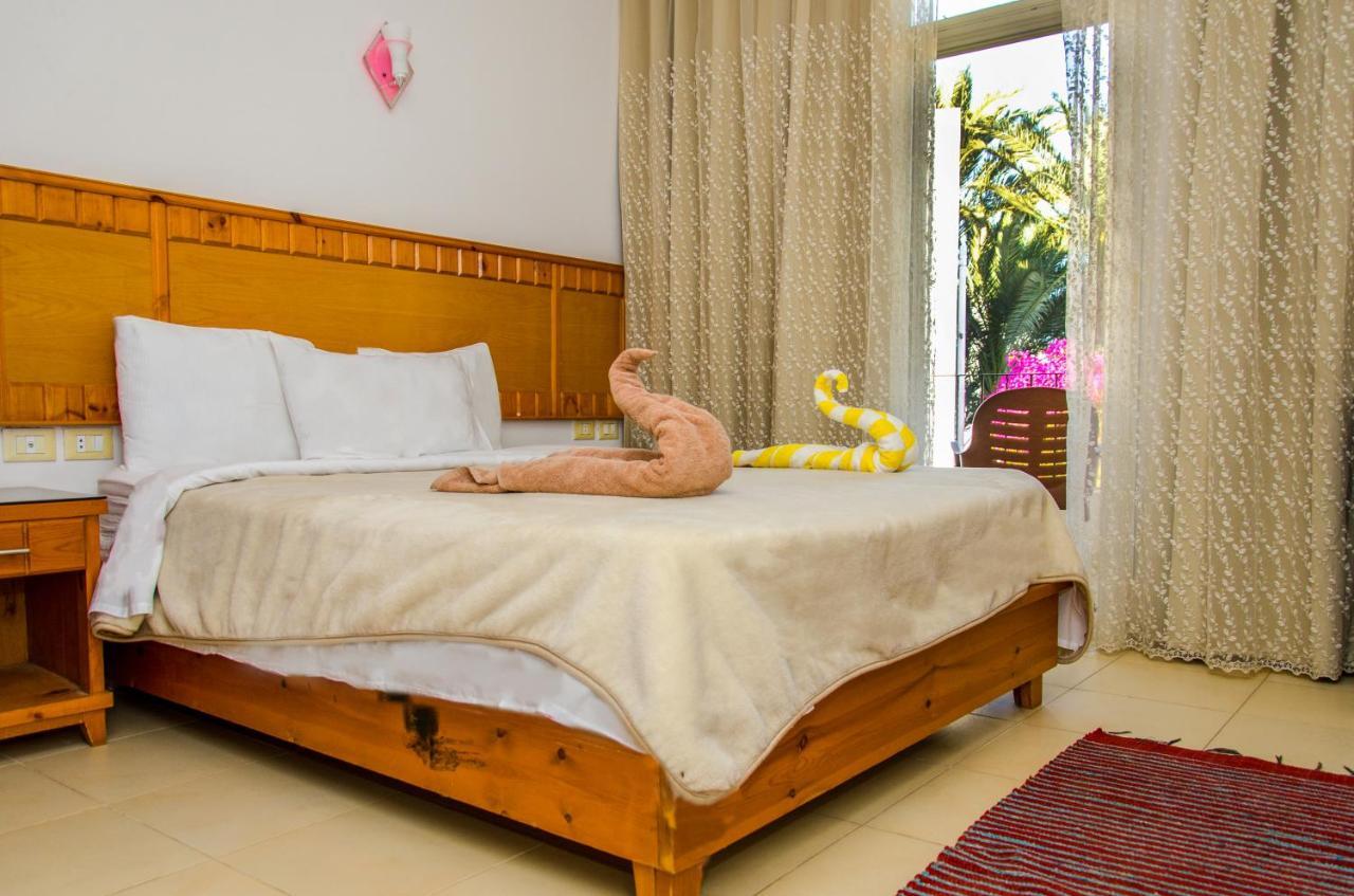 New Yalla Hotel Dahab Esterno foto