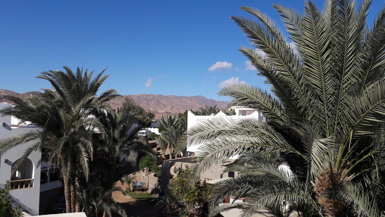 New Yalla Hotel Dahab Esterno foto