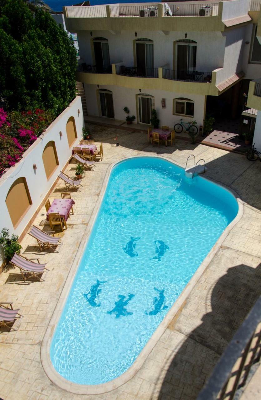 New Yalla Hotel Dahab Esterno foto